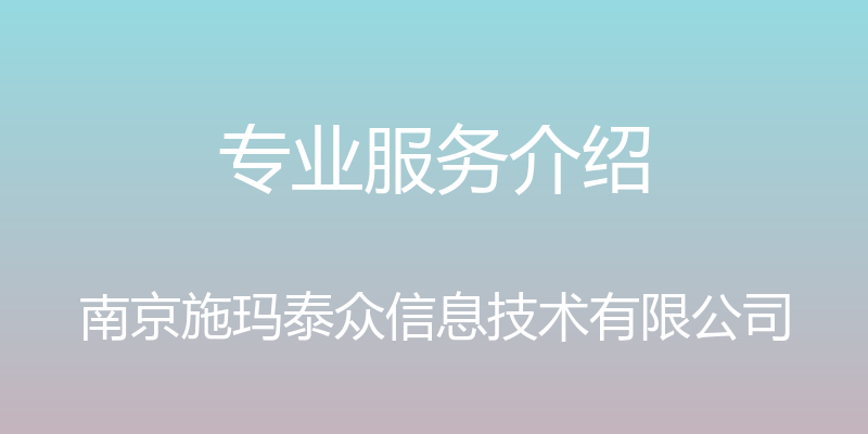 专业服务介绍 - 南京施玛泰众信息技术有限公司