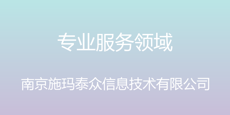 专业服务领域 - 南京施玛泰众信息技术有限公司